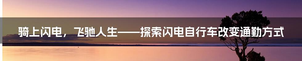 骑上闪电，飞驰人生——探索闪电自行车改变通勤方式