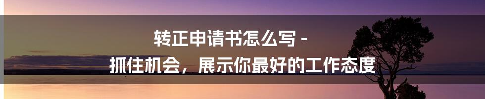 转正申请书怎么写 - 抓住机会，展示你最好的工作态度