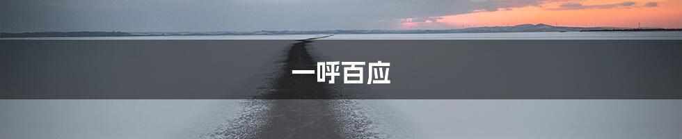 一呼百应