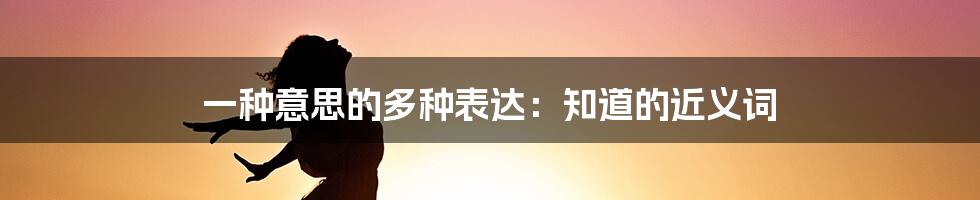 一种意思的多种表达：知道的近义词