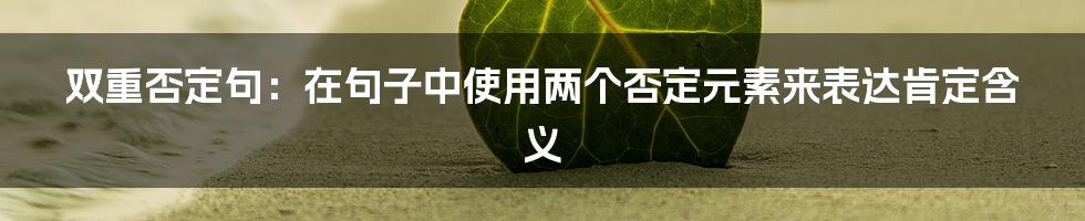 双重否定句：在句子中使用两个否定元素来表达肯定含义