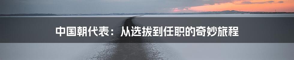 中国朝代表：从选拔到任职的奇妙旅程