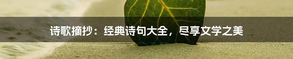 诗歌摘抄：经典诗句大全，尽享文学之美