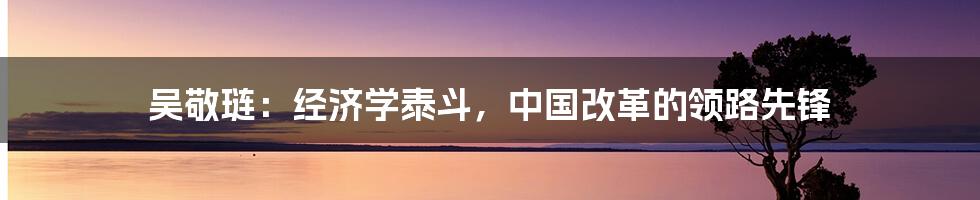 吴敬琏：经济学泰斗，中国改革的领路先锋