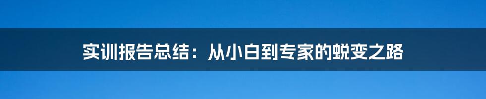 实训报告总结：从小白到专家的蜕变之路