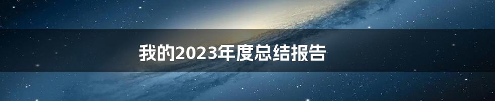 我的2023年度总结报告