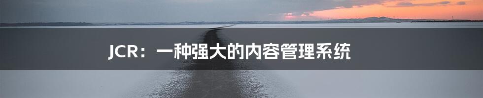 JCR：一种强大的内容管理系统