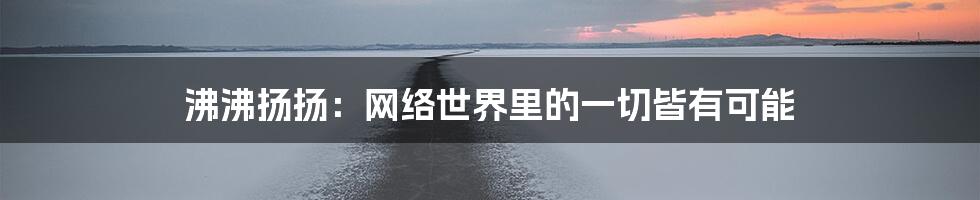 沸沸扬扬：网络世界里的一切皆有可能