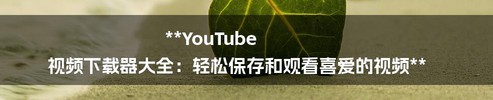 **YouTube 视频下载器大全：轻松保存和观看喜爱的视频**