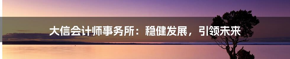 大信会计师事务所：稳健发展，引领未来