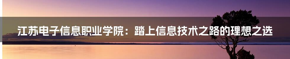 江苏电子信息职业学院：踏上信息技术之路的理想之选