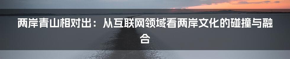 两岸青山相对出：从互联网领域看两岸文化的碰撞与融合