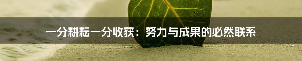 一分耕耘一分收获：努力与成果的必然联系