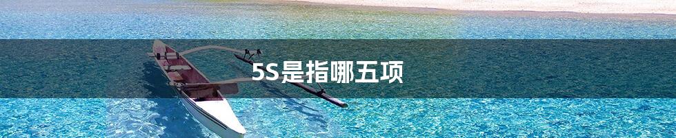 5S是指哪五项