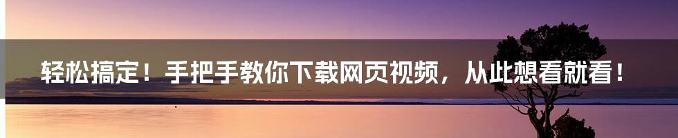 轻松搞定！手把手教你下载网页视频，从此想看就看！