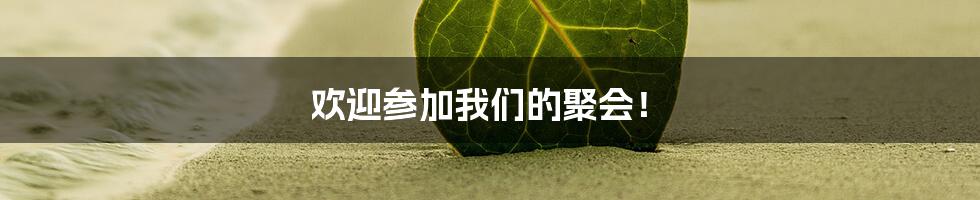 欢迎参加我们的聚会！