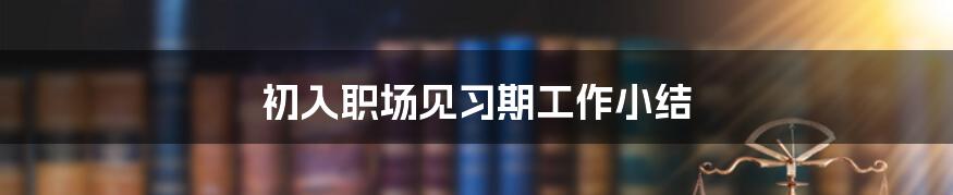 初入职场见习期工作小结