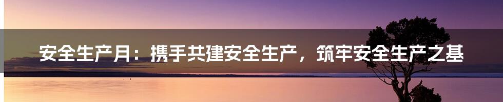 安全生产月：携手共建安全生产，筑牢安全生产之基