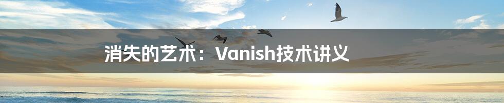 消失的艺术：Vanish技术讲义