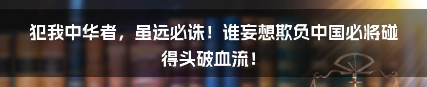 犯我中华者，虽远必诛！谁妄想欺负中国必将碰得头破血流！