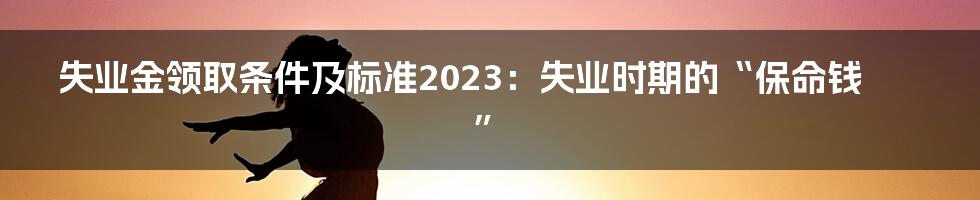 失业金领取条件及标准2023：失业时期的“保命钱”