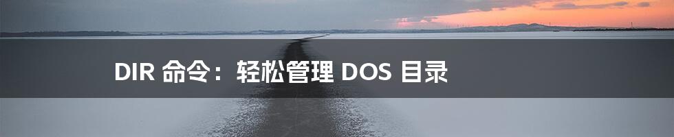 DIR 命令：轻松管理 DOS 目录