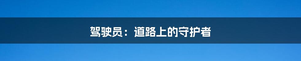 驾驶员：道路上的守护者