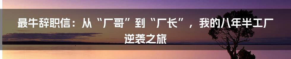 最牛辞职信：从“厂哥”到“厂长”，我的八年半工厂逆袭之旅