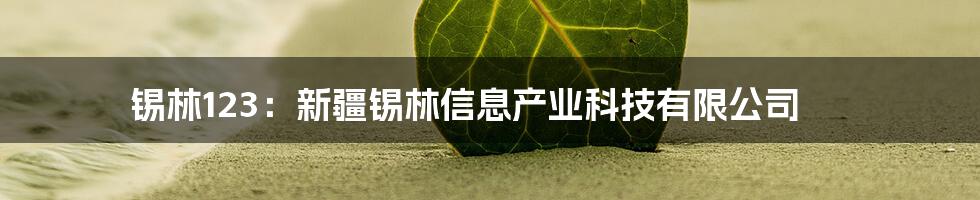 锡林123：新疆锡林信息产业科技有限公司