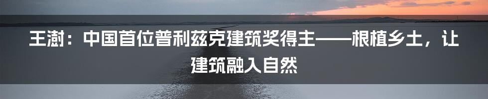 王澍：中国首位普利兹克建筑奖得主——根植乡土，让建筑融入自然