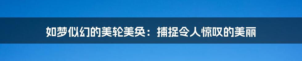 如梦似幻的美轮美奂：捕捉令人惊叹的美丽