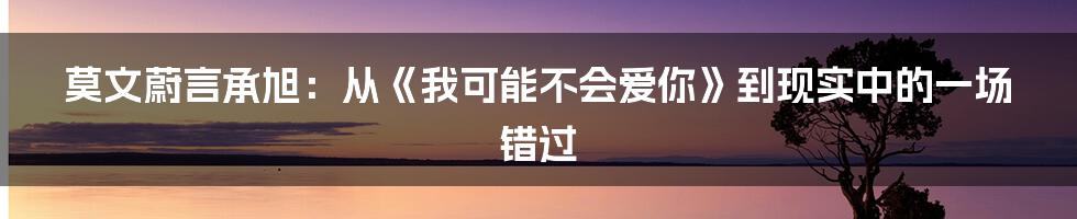 莫文蔚言承旭：从《我可能不会爱你》到现实中的一场错过