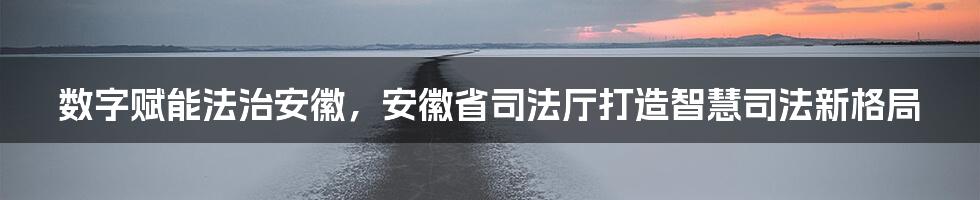 数字赋能法治安徽，安徽省司法厅打造智慧司法新格局