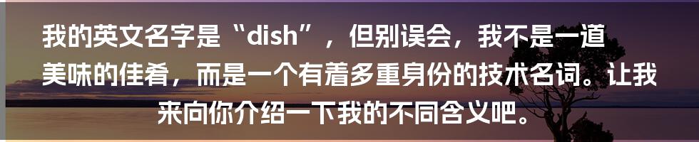 我的英文名字是“dish”，但别误会，我不是一道美味的佳肴，而是一个有着多重身份的技术名词。让我来向你介绍一下我的不同含义吧。