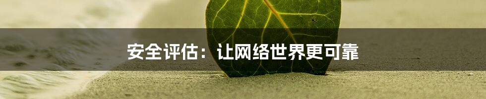 安全评估：让网络世界更可靠