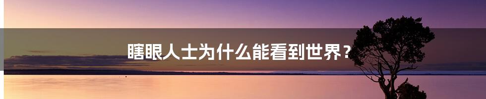 瞎眼人士为什么能看到世界？