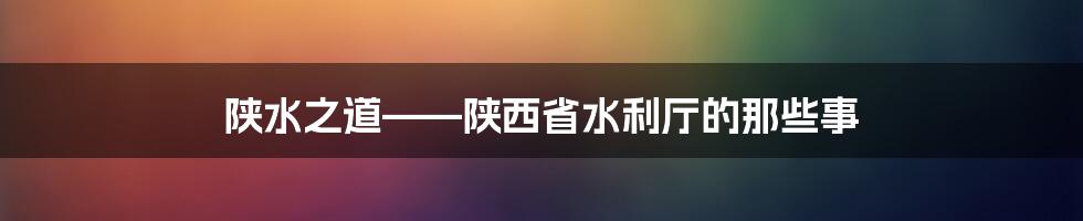 陕水之道——陕西省水利厅的那些事