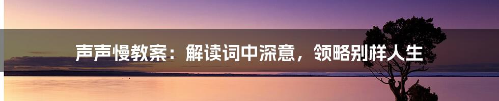 声声慢教案：解读词中深意，领略别样人生