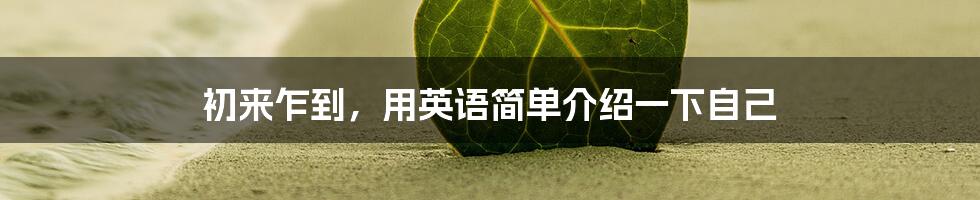 初来乍到，用英语简单介绍一下自己