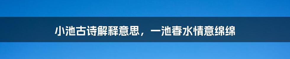 小池古诗解释意思，一池春水情意绵绵