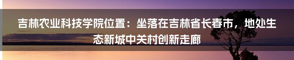 吉林农业科技学院位置：坐落在吉林省长春市，地处生态新城中关村创新走廊