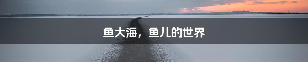 鱼大海，鱼儿的世界