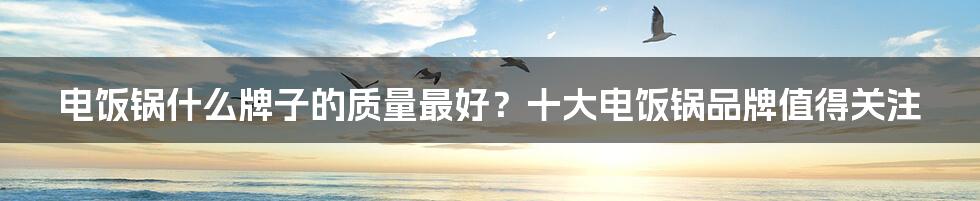 电饭锅什么牌子的质量最好？十大电饭锅品牌值得关注