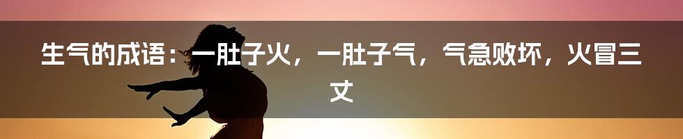 生气的成语：一肚子火，一肚子气，气急败坏，火冒三丈