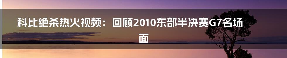 科比绝杀热火视频：回顾2010东部半决赛G7名场面