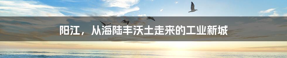 阳江，从海陆丰沃土走来的工业新城