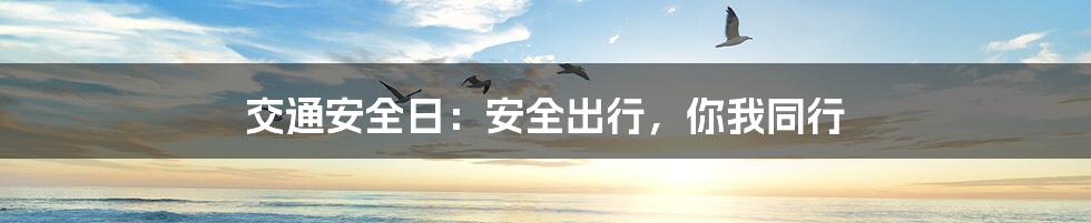 交通安全日：安全出行，你我同行