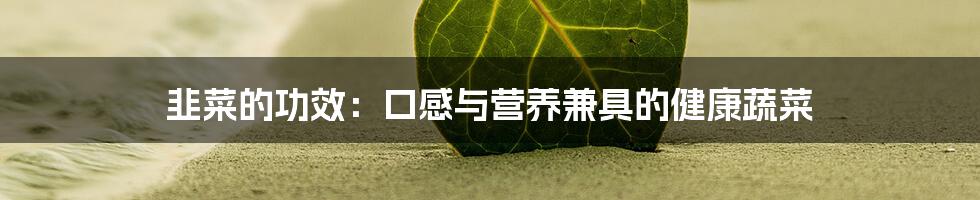 韭菜的功效：口感与营养兼具的健康蔬菜