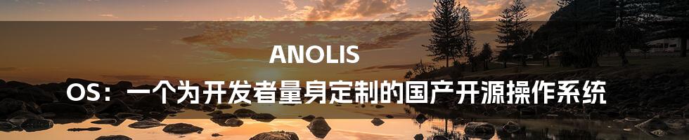 ANOLIS OS：一个为开发者量身定制的国产开源操作系统