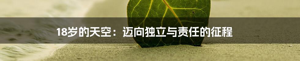 18岁的天空：迈向独立与责任的征程